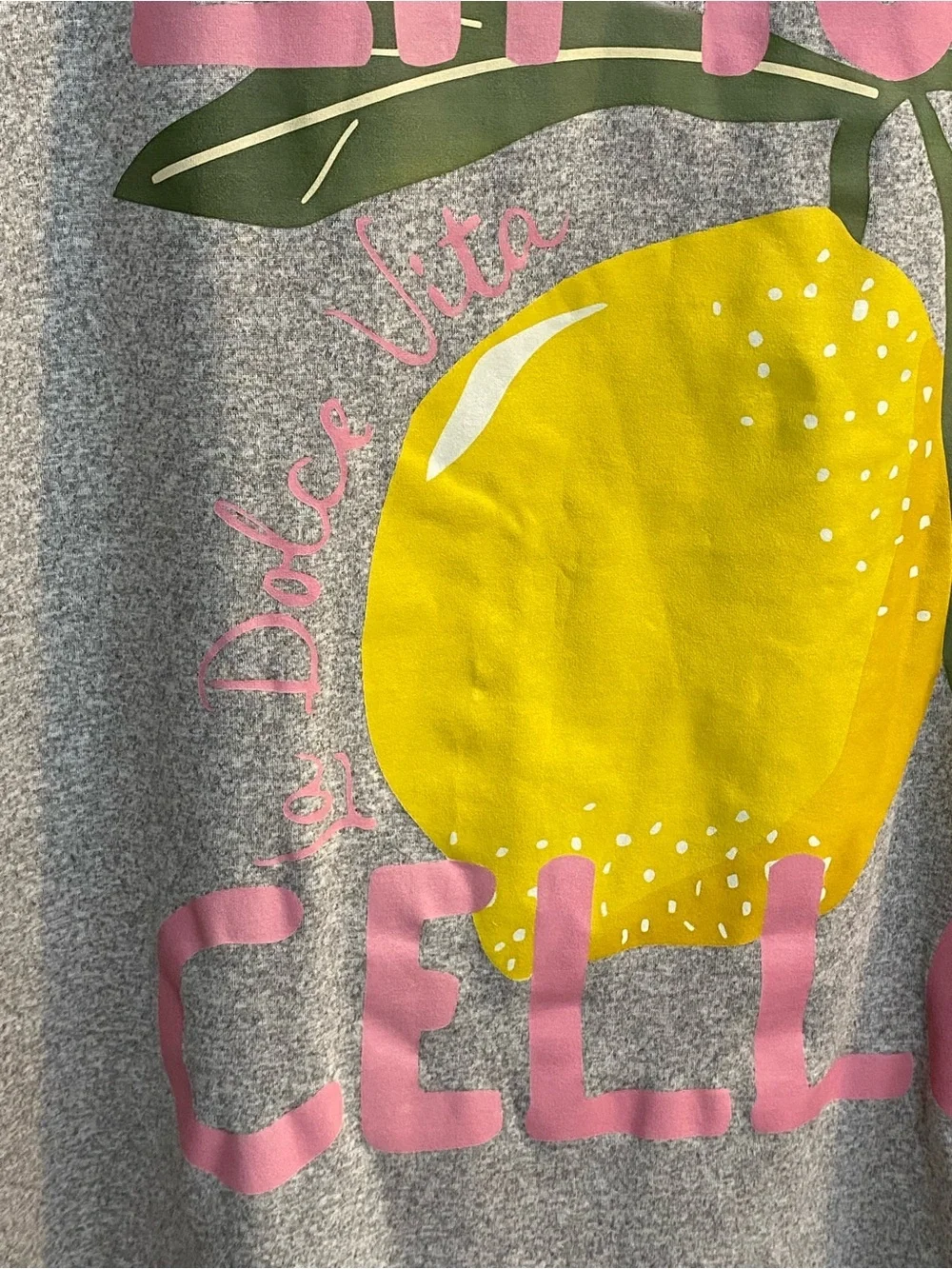 Gray Crewneck T-Shirt with Graphic, reads Limicello La Dolce Vita, size 2X